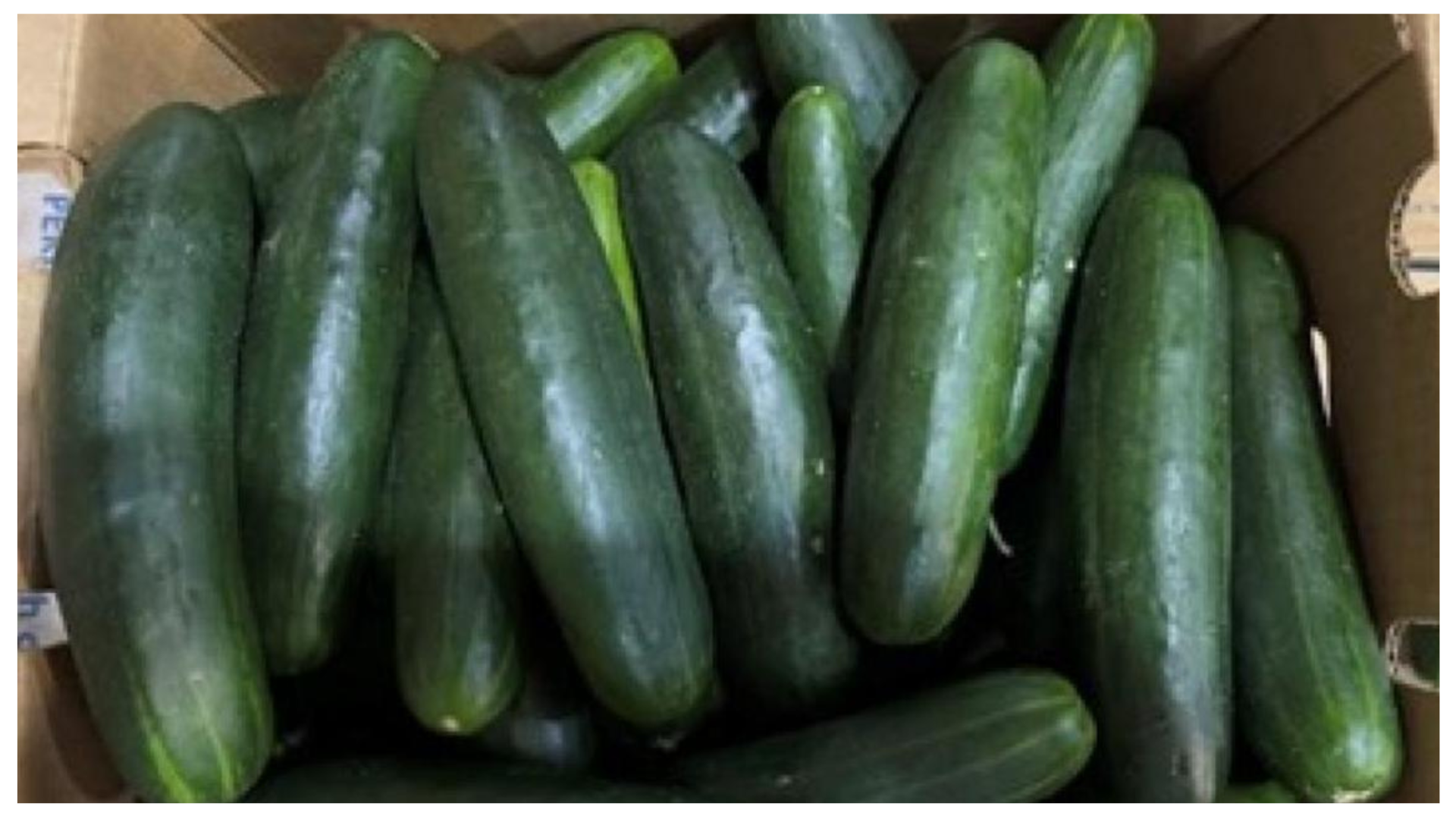 Cucumber Recall in 14 States As Warning Issued to Customers