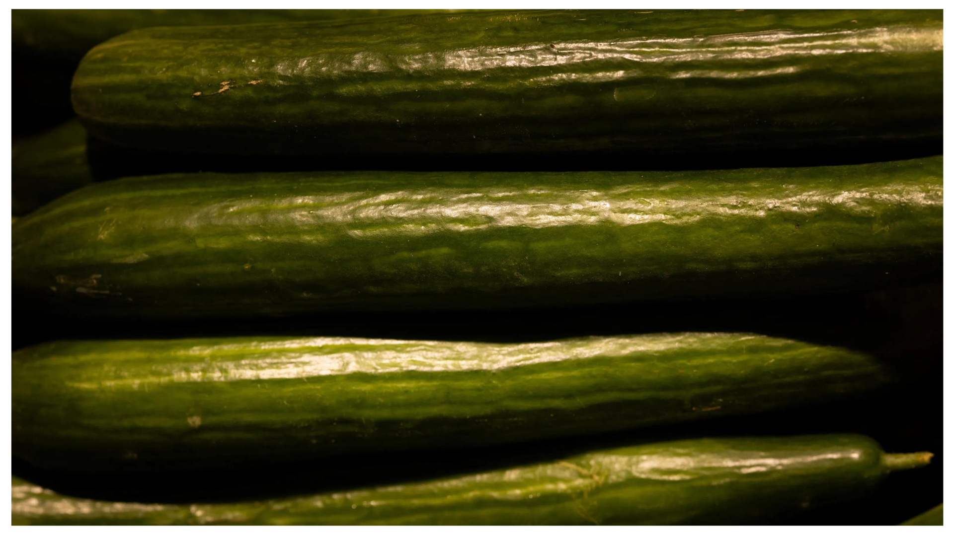 Cucumber Recall in 14 States As Warning Issued to Customers