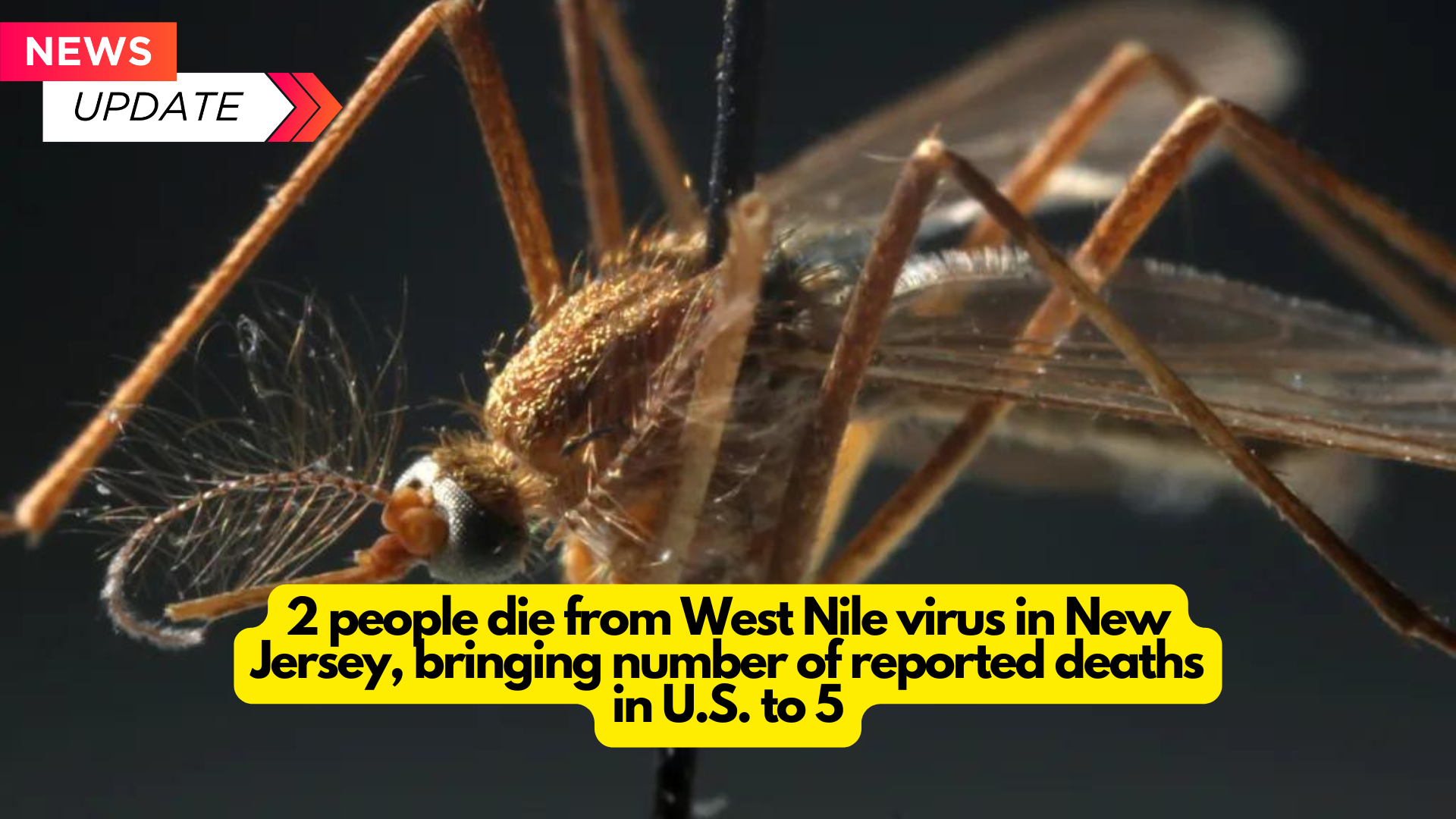 2 people die from West Nile virus in New Jersey, bringing number of reported deaths in U.S. to 5