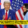 Who Is Tulsi Gabbard, US Intelligence Chief Who Will Oversee 18 Spy Agencies